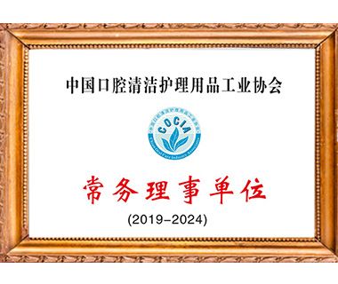 公司荣誉