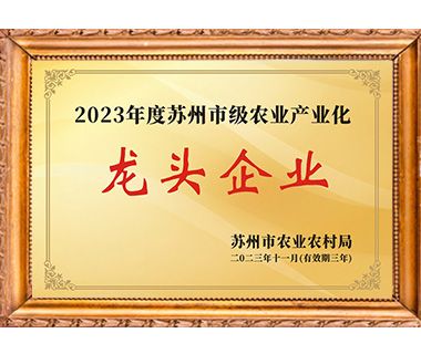 公司荣誉